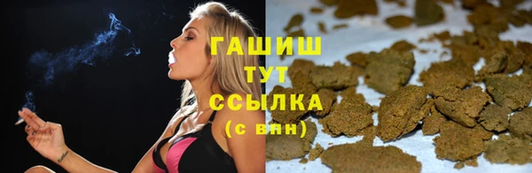 стафф Новодвинск