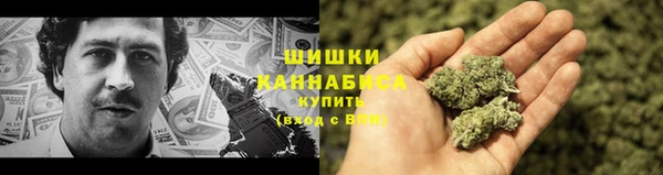 MDMA Новозыбков