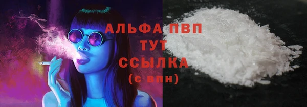 стафф Новодвинск