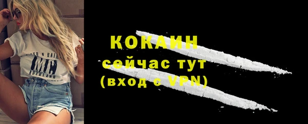 стафф Новодвинск