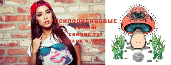 стафф Новодвинск