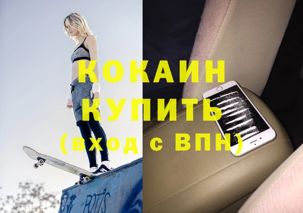 стафф Новодвинск