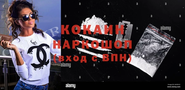 стафф Новодвинск