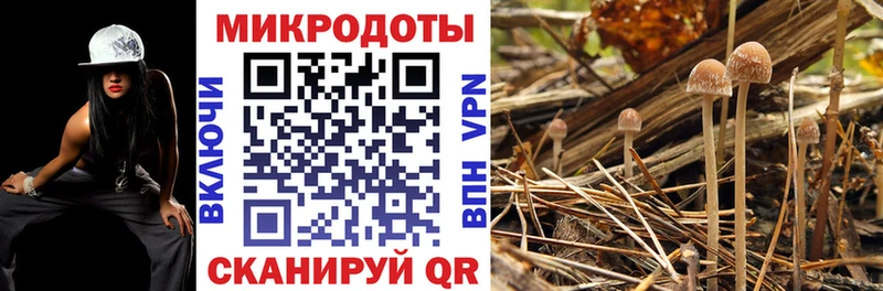 Псилоцибиновые грибы мухоморы  наркотики  Нарткала 
