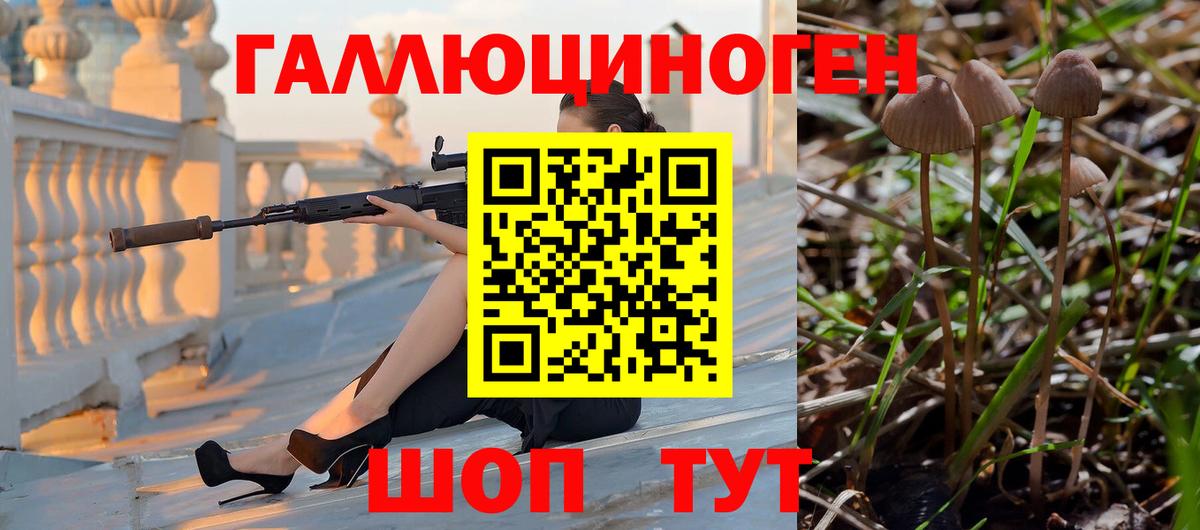 наркотики  Вход с VPN  Нарткала  Псилоцибиновые грибы Cubensis 